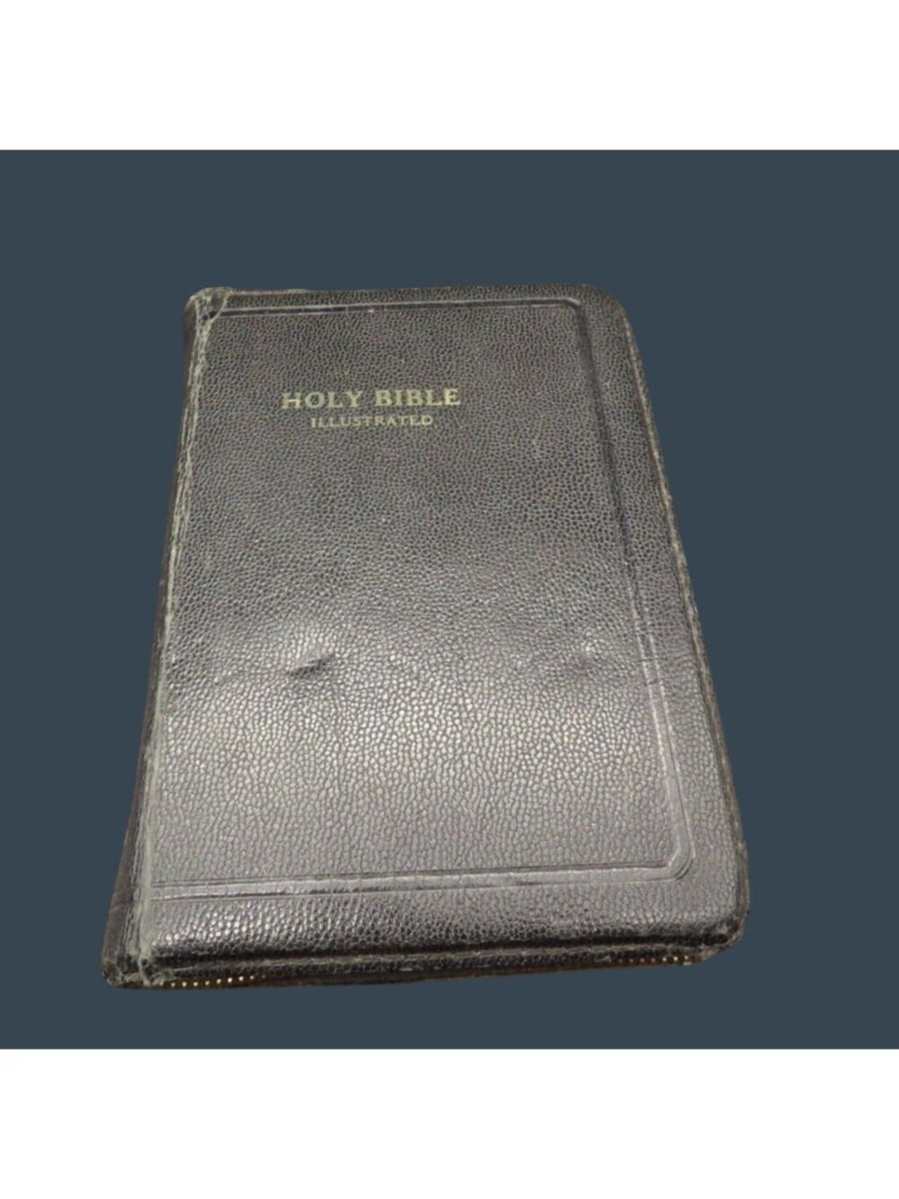 Vintage Holy Bible KJV Illustrated The World Publishing Company Zipper Cover